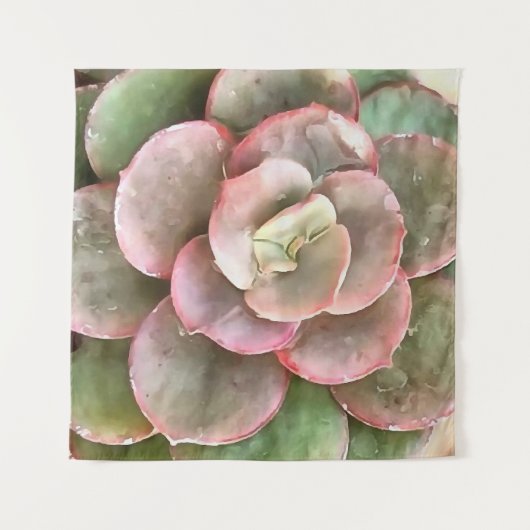 Echeveria Cactus sukkulent Acrylmalerei Wandteppich (Vorderseite (Horizontal))