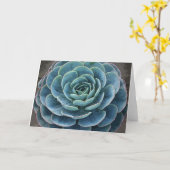 Echeveria imbricata notecard karte (Gelbe Blume)