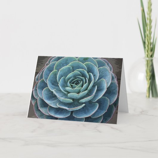 Echeveria imbricata notecard karte (Vorderseite)