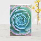 Echeveria Imbricata Sukkuline Grußkarte Karte (Gelbe Blume)