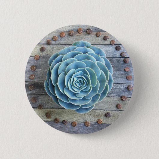 Echeveria Imbricata und Glyzinie-SamenSucculents Button (Vorderseite)