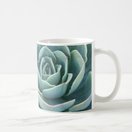 Echeveria Kaffee-Tasse Kaffeetasse (Rechts)