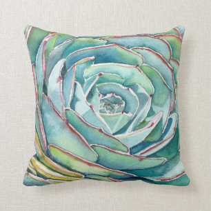 Echeveria-Kissen Kissen