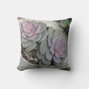 Echeveria-Kissen Kissen