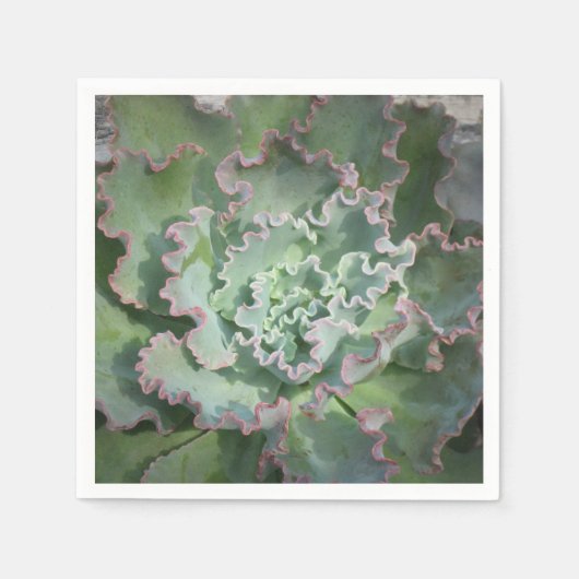 Echeveria Napkin Serviette (Vorderseite)