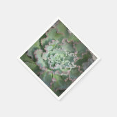 Echeveria Napkin Serviette (Ecke)