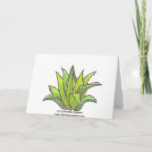 Echeveria notecard karte (Rückseite)