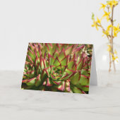 Echeveria notecard karte (Gelbe Blume)