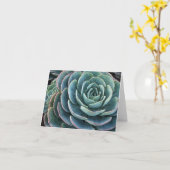 Echeveria notecard karte (Gelbe Blume)