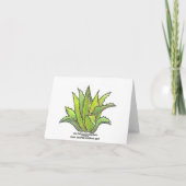 Echeveria notecard karte (Rückseite)