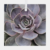 ECHEVERIA-PFLANZE (ERFOLGREICH) ORNAMENT AUS GLAS (Rückseite)