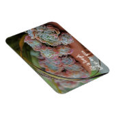 Echeveria-Rose Sukkuläres Leben ist schwer Magnet (Rechte Seite)