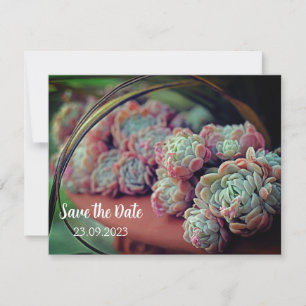 Echeveria Rose Sukkulent Save the Date Feiertagskarte