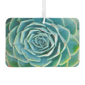 Echeveria-Rosette, Geheimgarten von Marrakesch Autolufterfrischer (Rückseite)