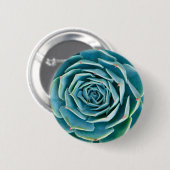 Echeveria-Rosette, Geheimgarten von Marrakesch Button (Vorne & Hinten)