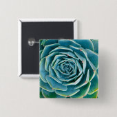 Echeveria-Rosette, Geheimgarten von Marrakesch Button (Vorne & Hinten)