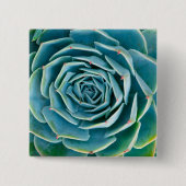 Echeveria-Rosette, Geheimgarten von Marrakesch Button (Vorderseite)
