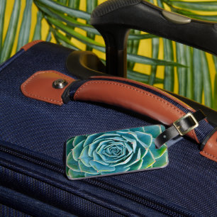 Echeveria-Rosette, Geheimgarten von Marrakesch Gepäckanhänger