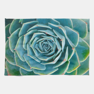 Echeveria-Rosette, Geheimgarten von Marrakesch Geschirrtuch