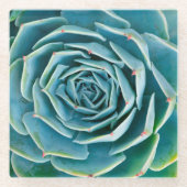 Echeveria-Rosette, Geheimgarten von Marrakesch Glasuntersetzer (Vorderseite)