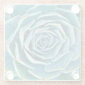 Echeveria-Rosette, Geheimgarten von Marrakesch Glasuntersetzer (Rückseite)