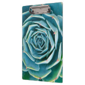 Echeveria-Rosette, Geheimgarten von Marrakesch Klemmbrett (Links)