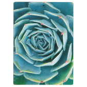 Echeveria-Rosette, Geheimgarten von Marrakesch Klemmbrett (Rückseite)
