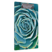 Echeveria-Rosette, Geheimgarten von Marrakesch Klemmbrett (Rechts)