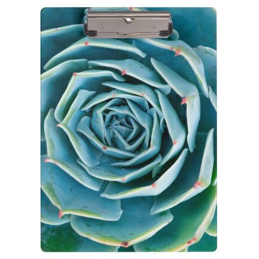 Echeveria-Rosette, Geheimgarten von Marrakesch Klemmbrett (Vorderseite)