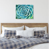 Echeveria-Rosette, Geheimgarten von Marrakesch Leinwanddruck (Insitu (Schlafzimmer))