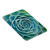 Echeveria-Rosette, Geheimgarten von Marrakesch Magnet (Rechte Seite)