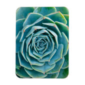 Echeveria-Rosette, Geheimgarten von Marrakesch Magnet (Vertikal)