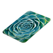 Echeveria-Rosette, Geheimgarten von Marrakesch Magnet (Linke Seite)