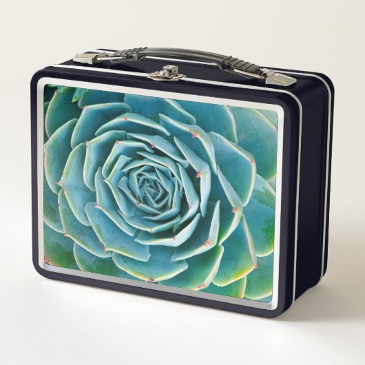 Echeveria-Rosette, Geheimgarten von Marrakesch Metall Brotdose (Vorderseite)