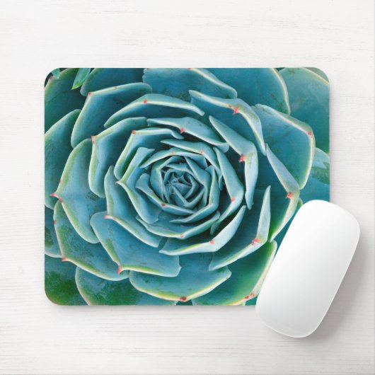Echeveria-Rosette, Geheimgarten von Marrakesch Mousepad (Mit Mouse)
