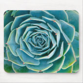 Echeveria-Rosette, Geheimgarten von Marrakesch Mousepad (Vorne)