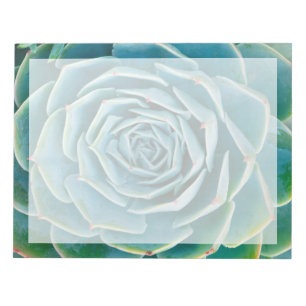 Echeveria-Rosette, Geheimgarten von Marrakesch Notizblock
