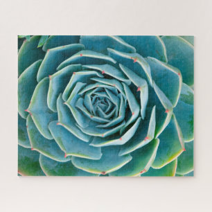 Echeveria-Rosette, Geheimgarten von Marrakesch Puzzle