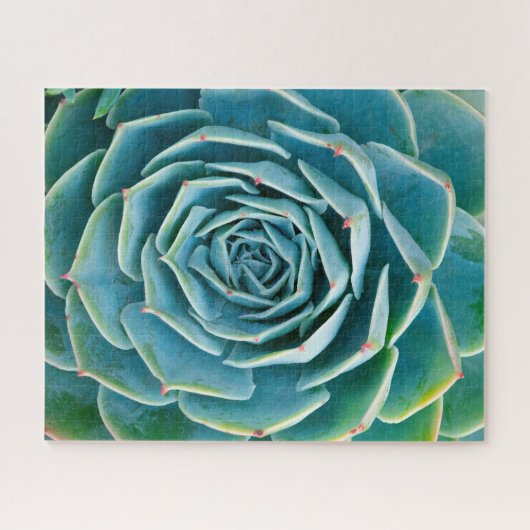 Echeveria-Rosette, Geheimgarten von Marrakesch Puzzle (Horizontal)
