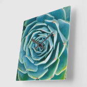 Echeveria-Rosette, Geheimgarten von Marrakesch Quadratische Wanduhr (Winkel)