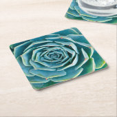 Echeveria-Rosette, Geheimgarten von Marrakesch Rechteckiger Pappuntersetzer (angewinkelt)