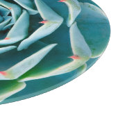 Echeveria-Rosette, Geheimgarten von Marrakesch Schneidebrett (Ecke)