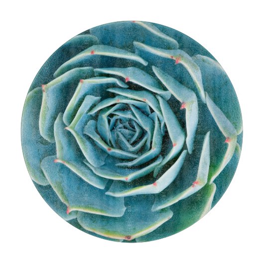 Echeveria-Rosette, Geheimgarten von Marrakesch Schneidebrett (Vorderseite)