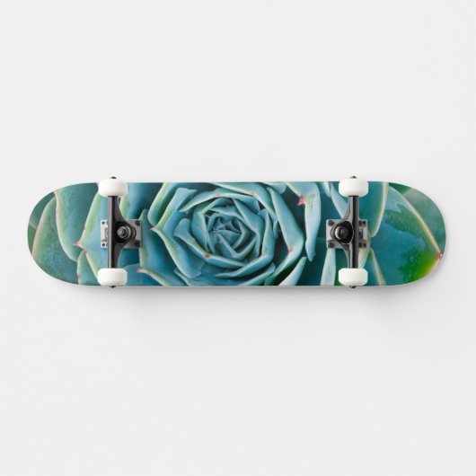 Echeveria-Rosette, Geheimgarten von Marrakesch Skateboard (Horizontal)