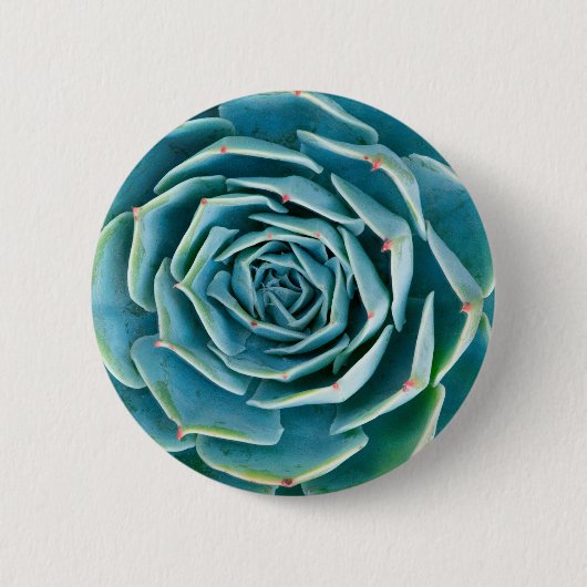 Echeveria Rosette, Secret Garden of Marrakech Button (Vorderseite)