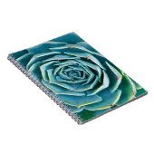 Echeveria Rosette, Secret Garden of Marrakech Notizblock (Rechte Seite)