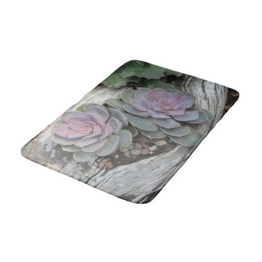 Echeveria Succulent Bath Mat Badematte (Schrägansicht)