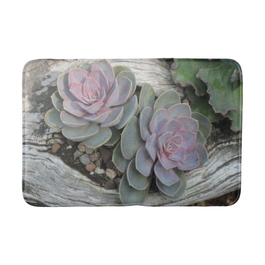 Echeveria Succulent Bath Mat Badematte (Vorderseite)