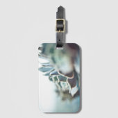 Echeveria Succulent Gepäckanhänger (Vorderseite Vertikal)