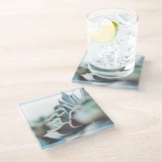 Echeveria Succulent Glasuntersetzer (Schrägansicht)